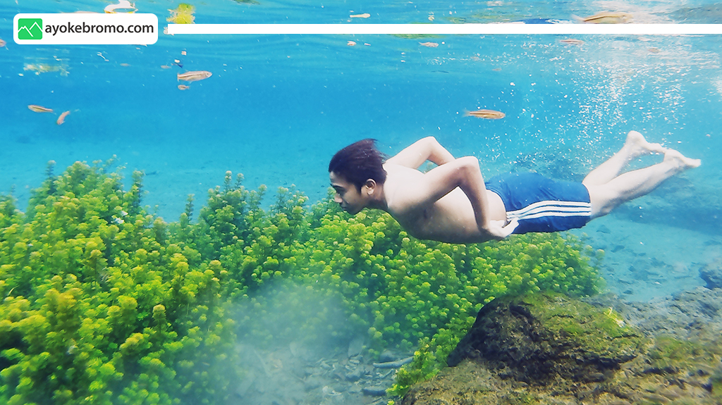 Wisata Sumber Sirah 